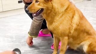 Regardez ce video magnifique