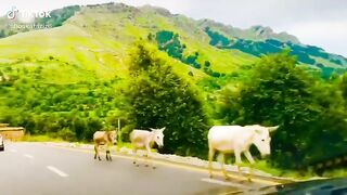 Kuram village