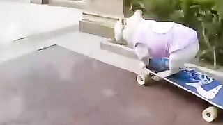 skateboard doggy