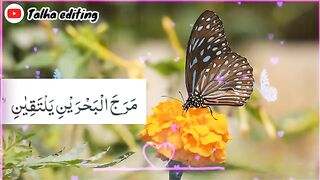 Heart teaching Surah- Surah Rahman Ayat 18 to 21. Quran verse.WhatsApp status video 2024.mp4short video.. plz subscribe and watch my video