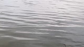 a beautiful moment
