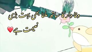 Love and care in birds