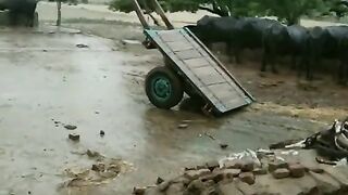 Cart drive by heavy wind.