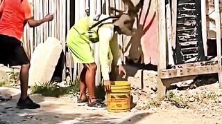 Pegadinha da aranha gigante