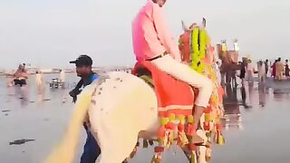 Beauty of Sindh