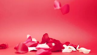 Rose Petals - adalinetv