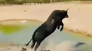 Bas Allah pe bhroosa rakho or bhir.....