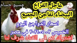 اسعار الفراخ البيضاء اليوم