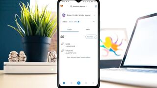 Metamask wallet