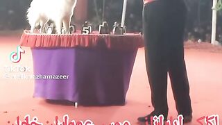 Imran khan