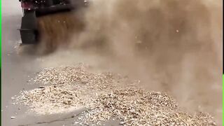 Small Corn Harvester #Corn