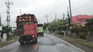 truck pengangkut buah sawit