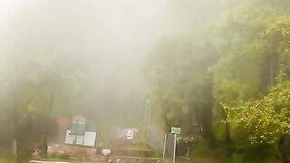 Weather