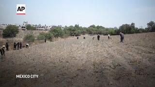 Volunteers search for clandestine crematorium on outskirts of Mexico City.
