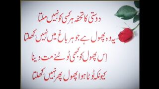 Not everyone gets the gift of friendship, it's a flower that doesn't bloom in every garden