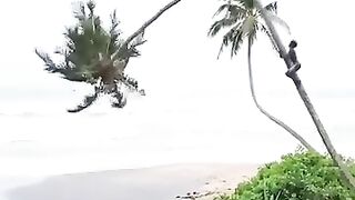 দেখতে বুলবেন না
