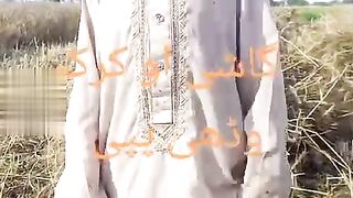 Fine video