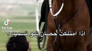 جمال الخيل