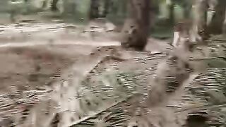 Perawatan kebun sawit