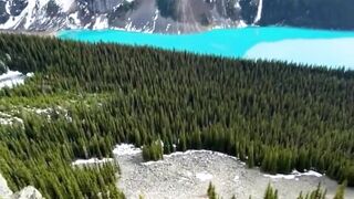 Beautiful world | part 16