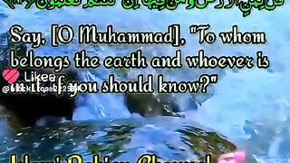 Surah Mu'minun 84-92 II Moft Quran recitation