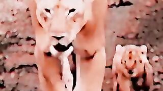ছেলেরা যতই বড় হোক না কেনও মায়ের কাছে যে এখনো ছোটো