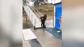 Funny video
