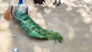 One of those rare fights