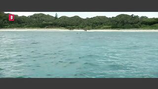 The shallows
