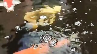 Tank fish