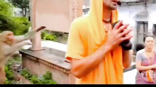 Monkey video funny India and Pakistan  monkey