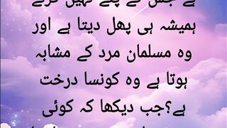 Khajoor ka darakht
