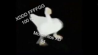 Momentos XD _54(360P).