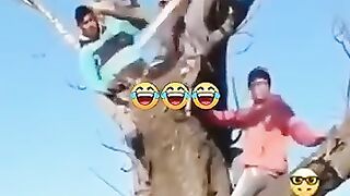 Today best funny video