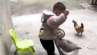 Inventory the funny moments of animals, if it's not funny, come find me!