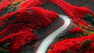 Beautiful Nature | part 27