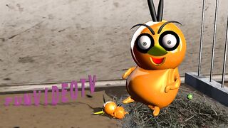 Angry bird