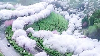 Beautiful Nature | part 30