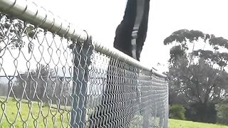 Как животные перелезают через забор