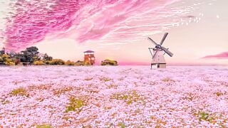 Beautiful Nature | part 34