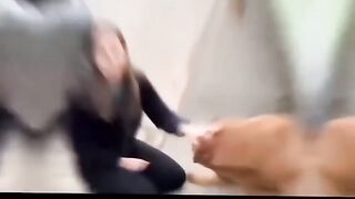 لحظه هجوم كلب على امرأة