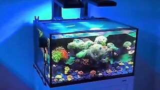 Aquarium