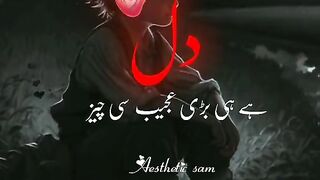 شعر و شاعری دی ویڈیودل ہے عجیب سی چیز