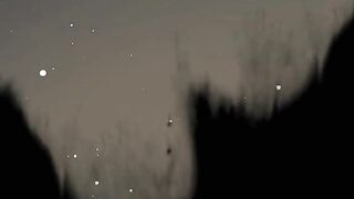 محبت دی شاعر و شاعری اتنے انمول تو نہیں ہم