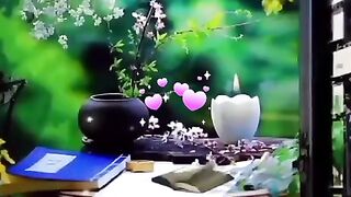 status,status video,status song,status whatsap,beast song,good song,video,songs
