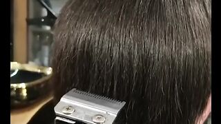 Try Not to Laugh Challenge