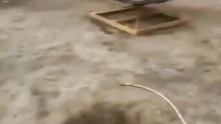 لعب العيااااااال الكببببببببار