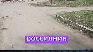 ДА ПРЕВЪРНЕШ УКРАИНСКИТЕ ГРАДОВЕ В САМАРА