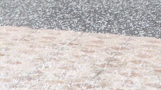 Rain video