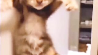 Billi Na Dance Kia ???????? | Cute Girl Dance | #comedyvideo #funny #viral